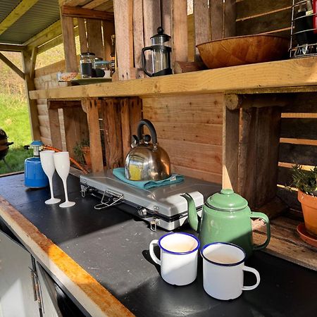 Hotel Geodesic Dome Glamping à Llanidloes Extérieur photo