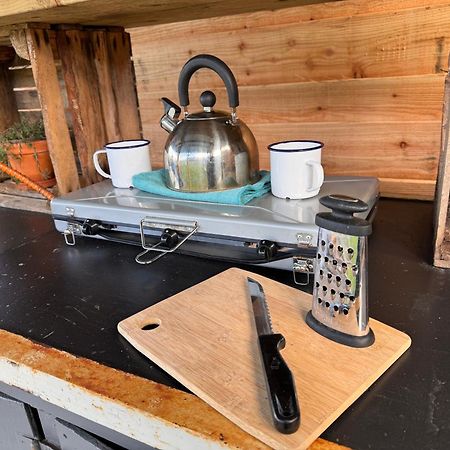 Hotel Geodesic Dome Glamping à Llanidloes Extérieur photo