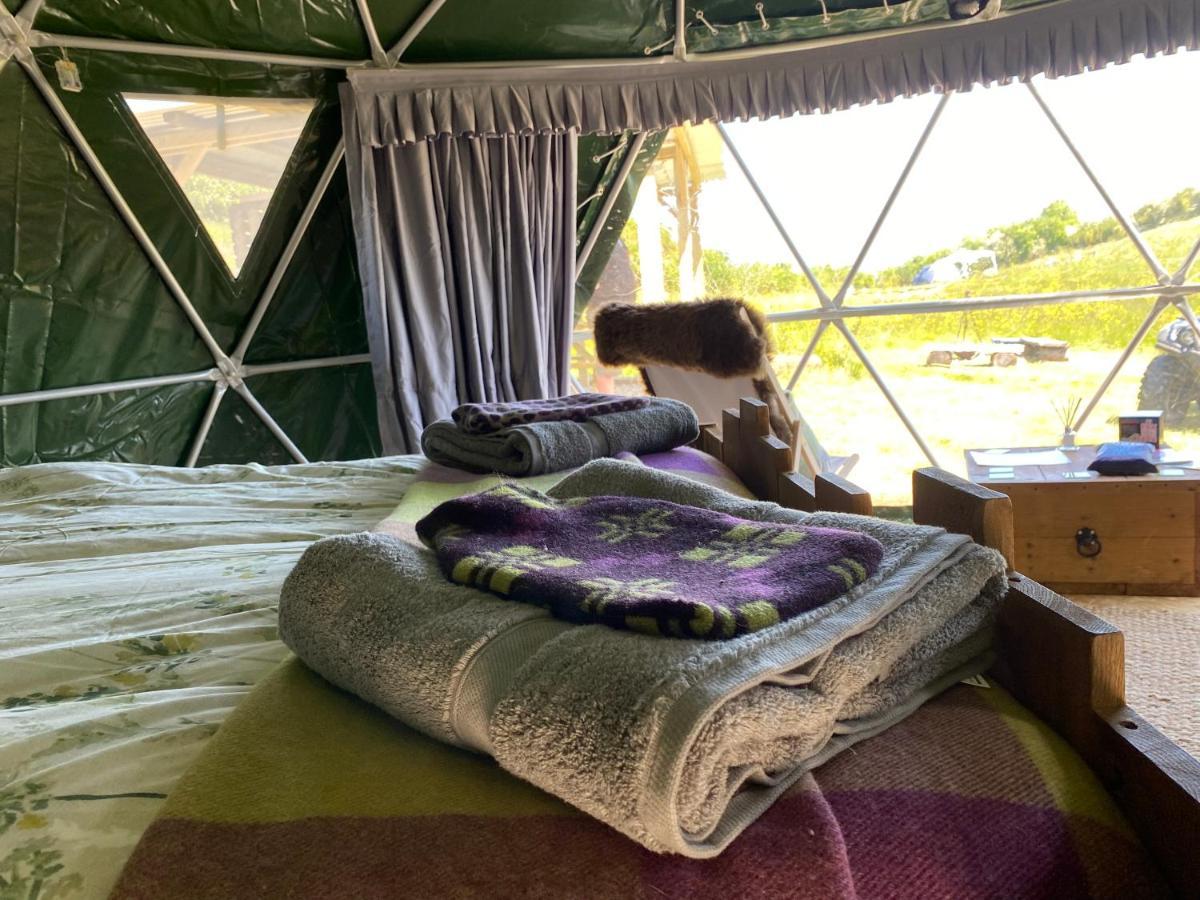 Hotel Geodesic Dome Glamping à Llanidloes Extérieur photo