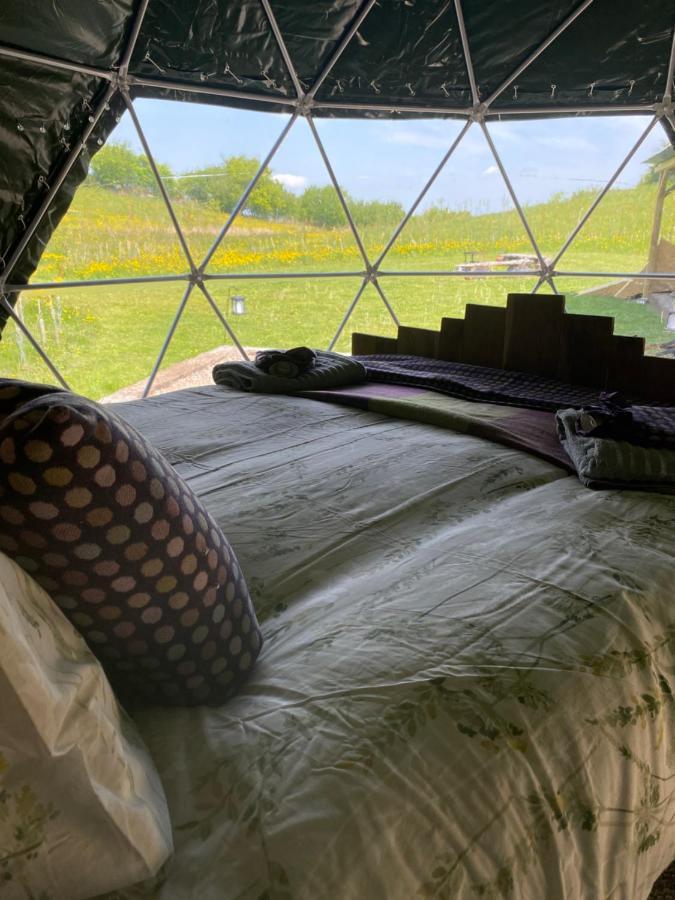 Hotel Geodesic Dome Glamping à Llanidloes Extérieur photo