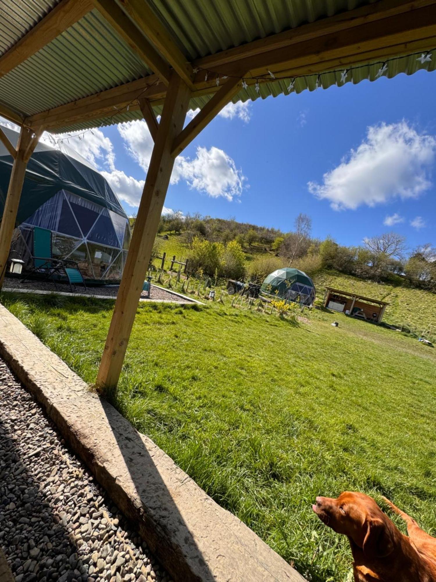 Hotel Geodesic Dome Glamping à Llanidloes Extérieur photo